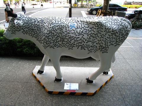'Cow number 41'