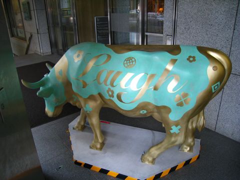 'Cow number 63'
